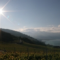 Lac et vignes depuis Lavaux - 049